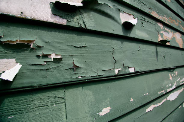 Best Dumpster Rental Services  in Calcium, NY